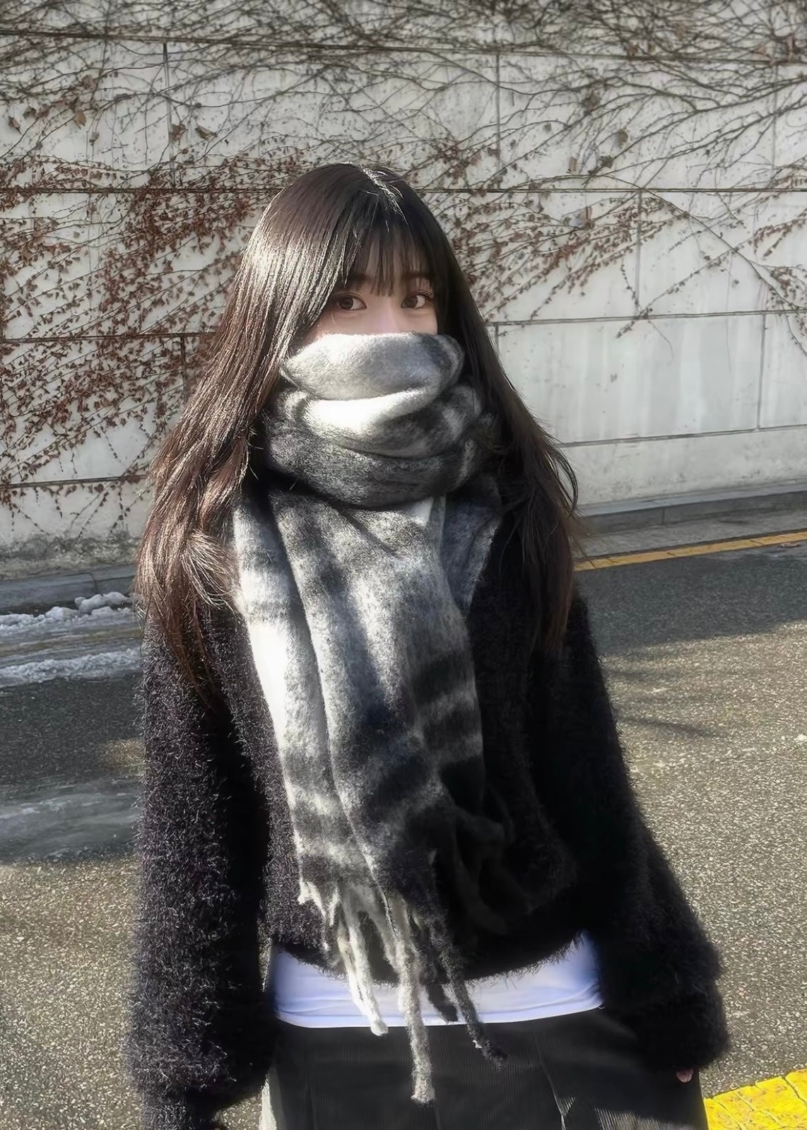 Cloudy Check Muffler